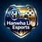 Hanwha Life Esports战队Logo标志