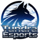 Tundra Esports战队Logo标志
